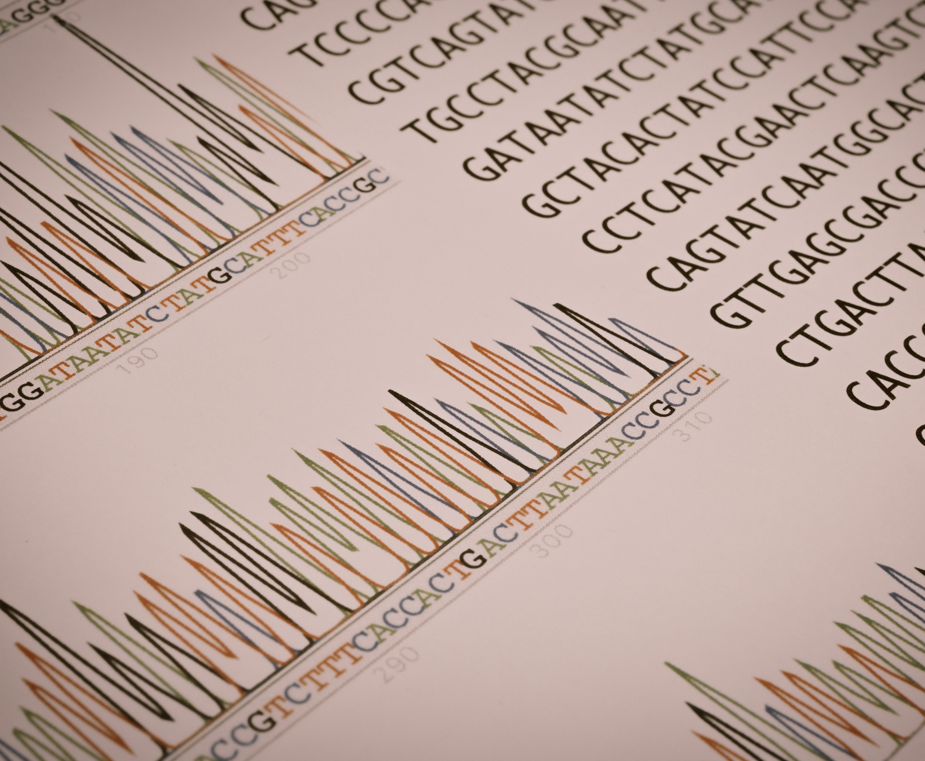 国立感染症研究所・薬剤耐性研究センター
